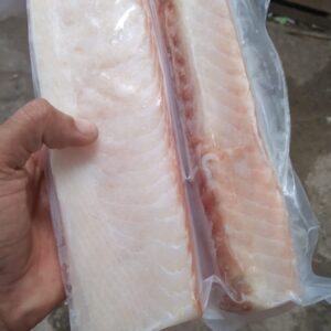 Daging Ikan Cucut Frozen