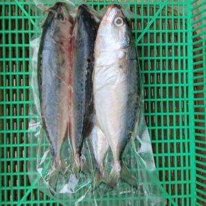 Ikan kembung Banjar Frozen