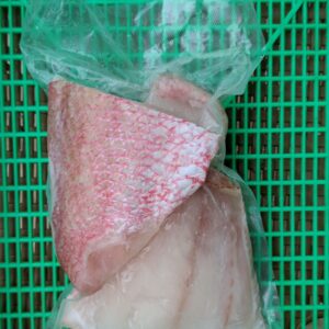 Daging Ikan Kakap Merah Frozen