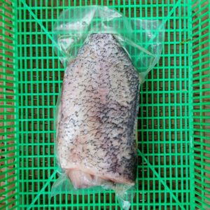 Daging Ikan Gurame Frozen