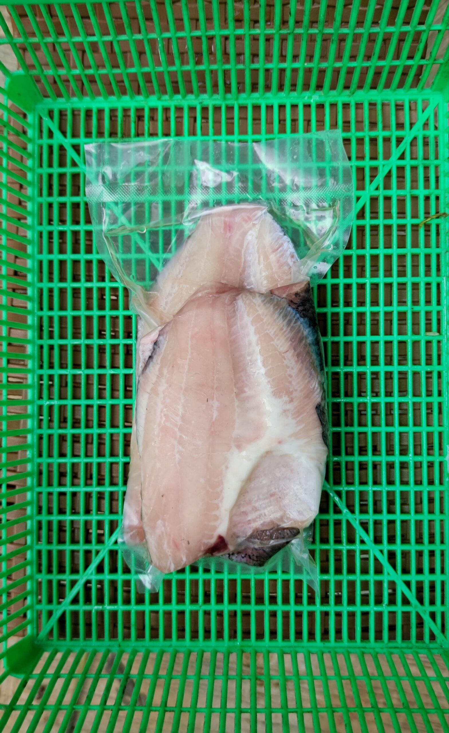 Daging Ikan Gurame Frozen - Image 2