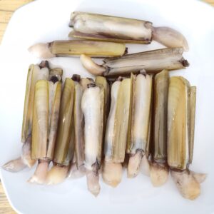Kerang Bambu Frozen