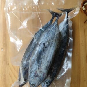 Ikan Cakalang Frozen