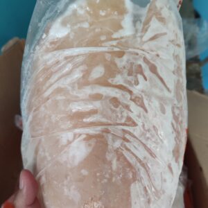 Daging Ikan Dori Frozen