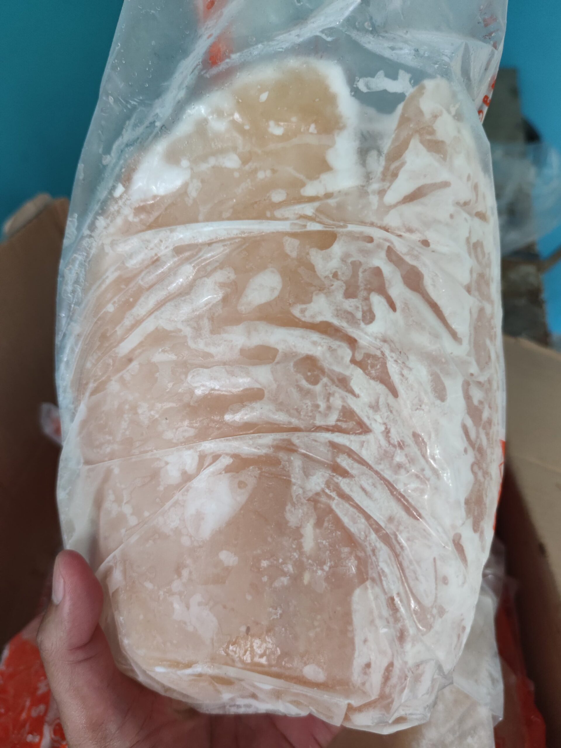 Daging Ikan Dori Frozen