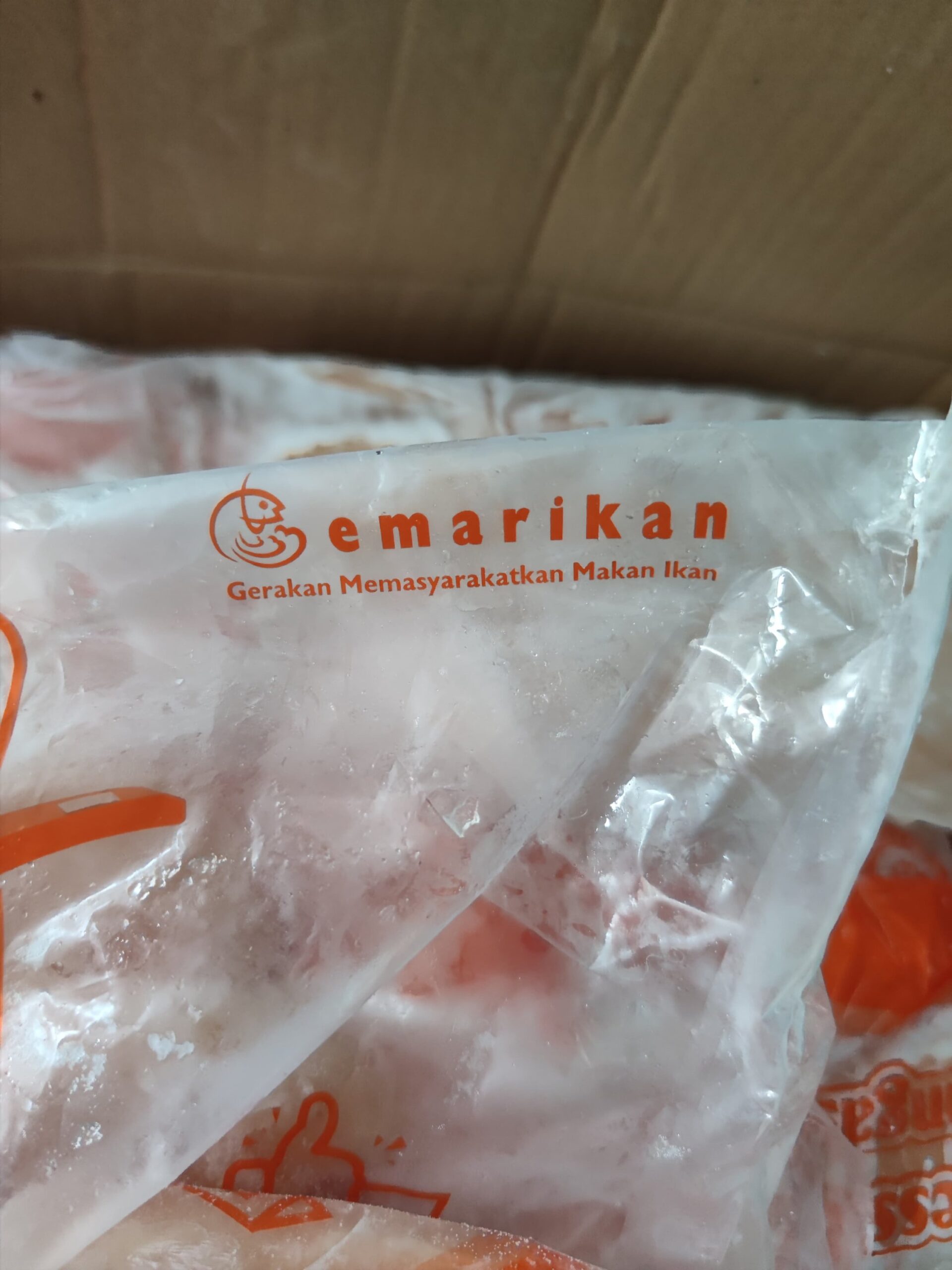 Daging Ikan Dori Frozen - Image 3